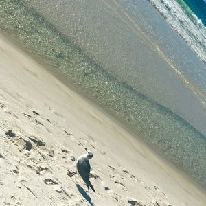 Meet your Posher, Mandy